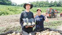 [Cooking&Food] 귀농 청년농부 지원 활동 3년째 계속, 수확한 감자 구매해 ‘수미칩’ 만들어