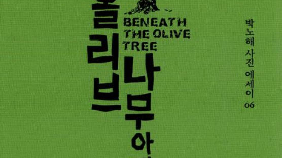 1000년 세월 품은 올리브 나무의 위로 [BOOK]
