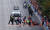 기후위기를 알리는 환경운동가들이 24일 베를린 마라톤에서 페인트를 도로에 뿌리는 시위를 한 뒤 끌려나가고 있다. 로이터=연합뉴스