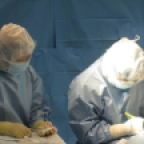 항문수술 받은 70대 쇼크사…'오진' 의사, 이례적 법정 구속