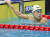 이호준(오른쪽)이 27일 항저우 아시안게임 남자 자유형 200m 예선을 마친 후 기록을 확인하고 있다. 연합뉴스