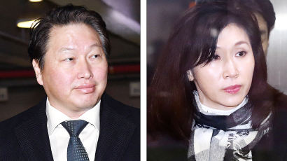 최태원·노소영 이혼소송 항소심 11월 9일 첫 변론