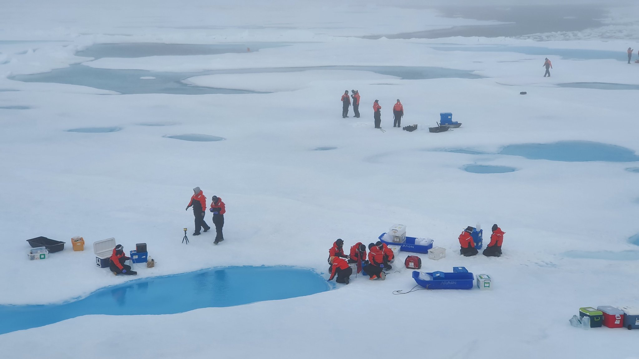 극지연구소의 북극 기후변화 탐사 모습. 사진 극지연구소