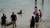 지난 7월 27일 미국 캘리포니아 샌디에고 라호야 코브. 바다사자가 모래사장 가까이로 오자 관광객들이 바다사자를 구경하고 있다. 샌디에이고=정은혜 기자  