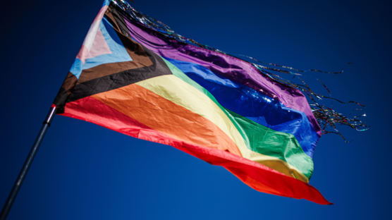 모리셔스 대법원 "동성애 범죄화 형법 조항 위헌"