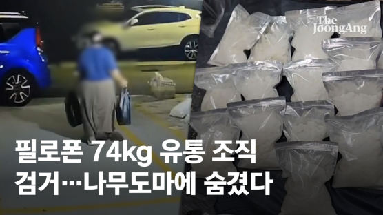 '나무도마' 반 가르자 반전…말레이서 246만명분 필로폰 들어왔다 [영상]