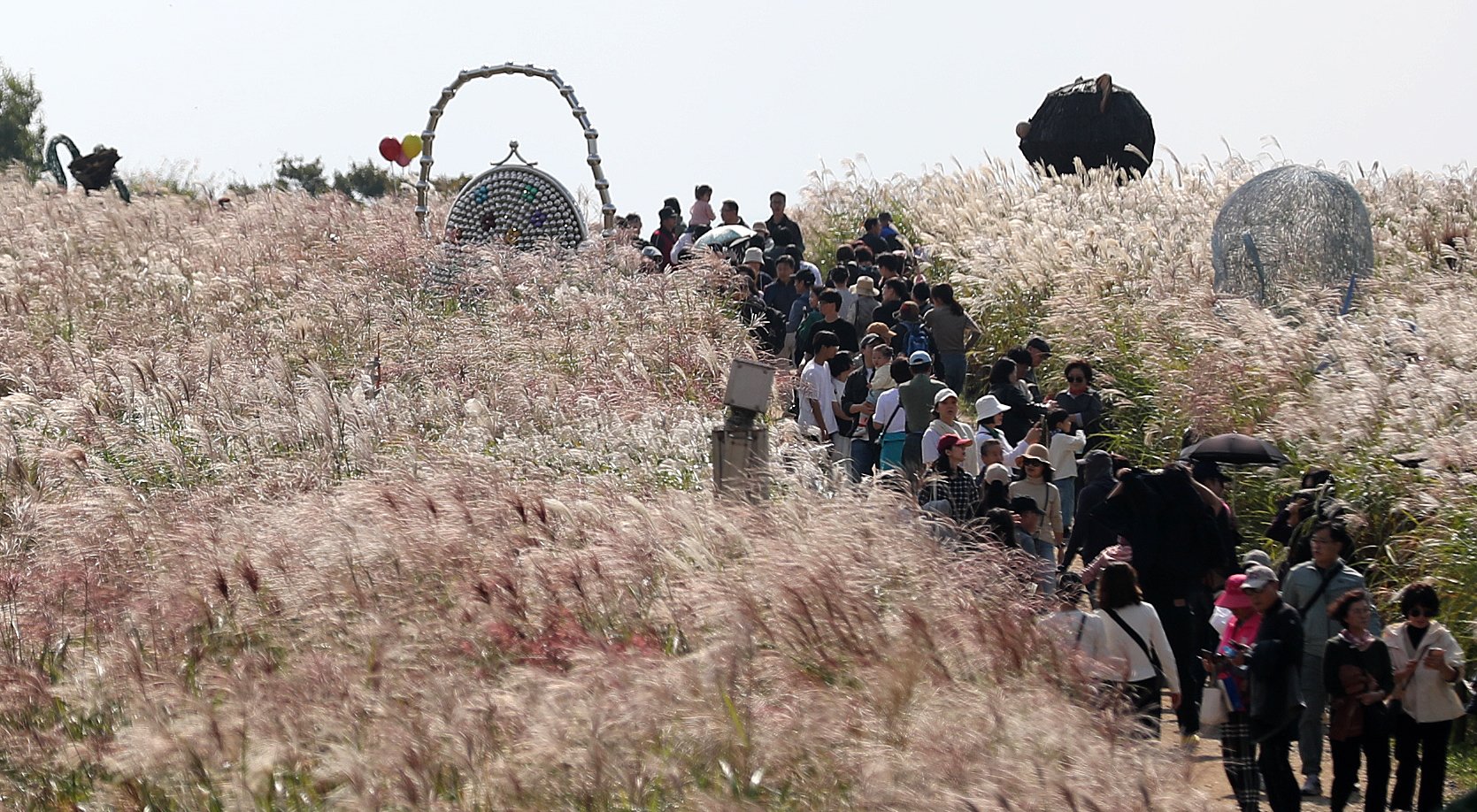 15일 오전 서울 마포구 하늘공원에서 열린 '2023 서울억새축제'에서 방문객들이 억새밭 사이를 거닐며 가을 정취를 만끽하고 있다. 뉴시스