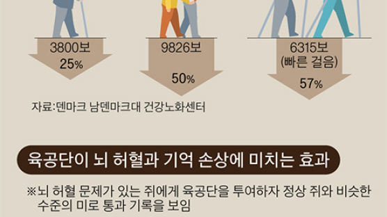 "치매 위험 57%까지 줄어든다"…美 의사협회가 추천한 운동