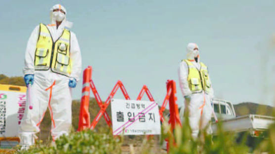 [우리는 K-농업전도사] 가축전염병 우리가 막는다 ! 드론까지 띄워 입체적 방역 활동