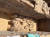 독일-오스트리아 연구팀이 고대 이집트 메르네이트 여왕 무덤에서 발견한 수백 개의 와인 항아리. 사진 X 캡처