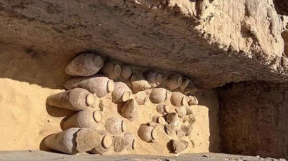 이집트 여왕 무덤에 '5000년 와인' 항아리 쏟아졌다...와인 상태는