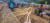 지난 16일 강원 홍천의 인삼밭에서 농부들이 6년근 인삼을 수확하고 있다. 이곳에서 수확된 인삼은 원주에 있는 KGC인삼공사 공장(아래 사진)으로 보내져 홍삼 제품으로 변신한다. 김민상 기자 