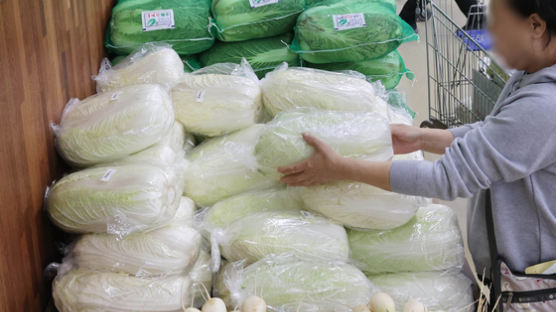 [사진] 배추 가격 한 달 새 20% 올랐다