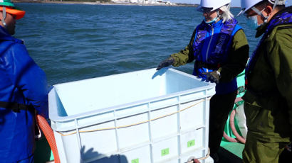 오염수 방류에 日 9월 수산물 중국 수출 '제로'...中 후쿠시마 연안 방사능 조사 첫 참여 