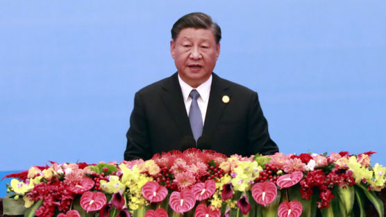 시진핑 "이·팔 빠른 휴전이 급선무…'두 국가 방안'이 근본 해법"