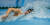 황선우가 19일 전국체전 수영 남자 일반부 혼계영 400m에서 금빛 레이스를 펼치고 있다. 연합뉴스 