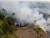 브라질 아마존 열대우림 지역에서 불법 화전으로 인해 발생한 산불을 진화하고 있다. AFP=연합뉴스