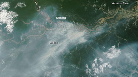 독소 뿜는 '지구 허파'의 재앙…아마존 분노케 한 인간의 실수
