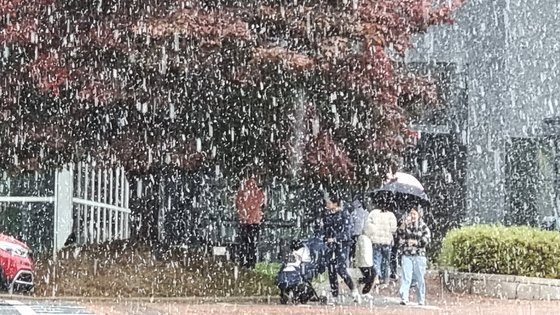 21일 강원도 평창 휘닉스 파크 인근에서 눈이 내리고 있다. 임현동 기자