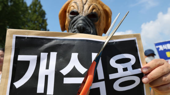 농림부 "개 식용 금지 7개 부처 차관 협의처 논의 중"