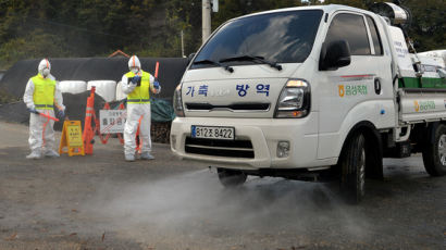 "럼피스킨병 코앞까지 왔다"…사육두수 전국최다 경북 긴장