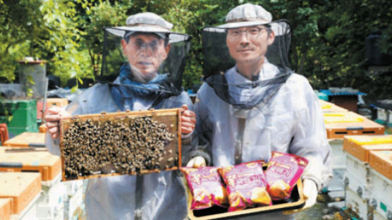 [시선집중] 꿀꽈배기·너구리 인기비결? 국산 원재료 고집한 ‘맛있는 상생’ 덕분