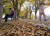 절기상 서리가 내린다는 상강인 24일 강원 춘천시 공지천 산책로에 낙엽이 쌓여 있다. 연합뉴스