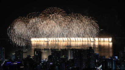 100만명 몰려온다...안전요원만 6000명 투입하는 불꽃축제 