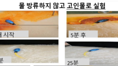 에코클린 사회적 협동조합, 오존 발생 없는 친환경 ‘워터클린 그리스트랩 정화장치’ 개발