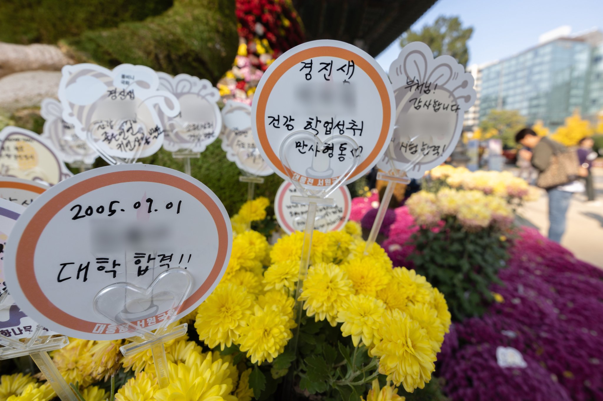 서울 종로구 조계사에 수능 고득점을 기원하는 소원지가 걸려 있다. 뉴스1