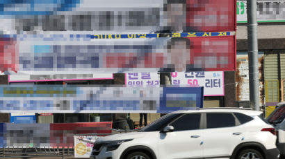 '도심 공해' 정당 현수막 2개 이내로 제한…내용은 규제 안 한다