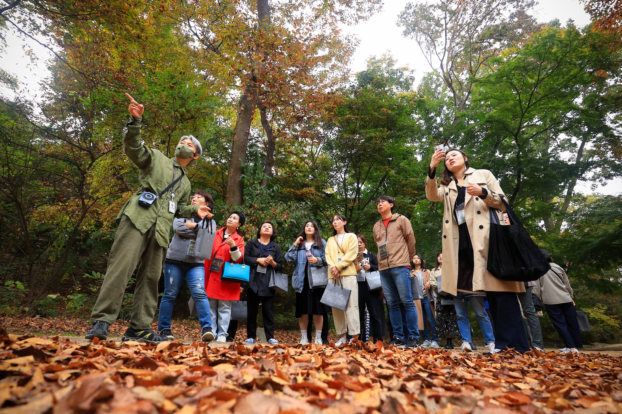 1일 행사 참가자들이 청심정으로 향하는 숲길에서 문화유산 해설사의 설명을 듣고 있다. 연합뉴스