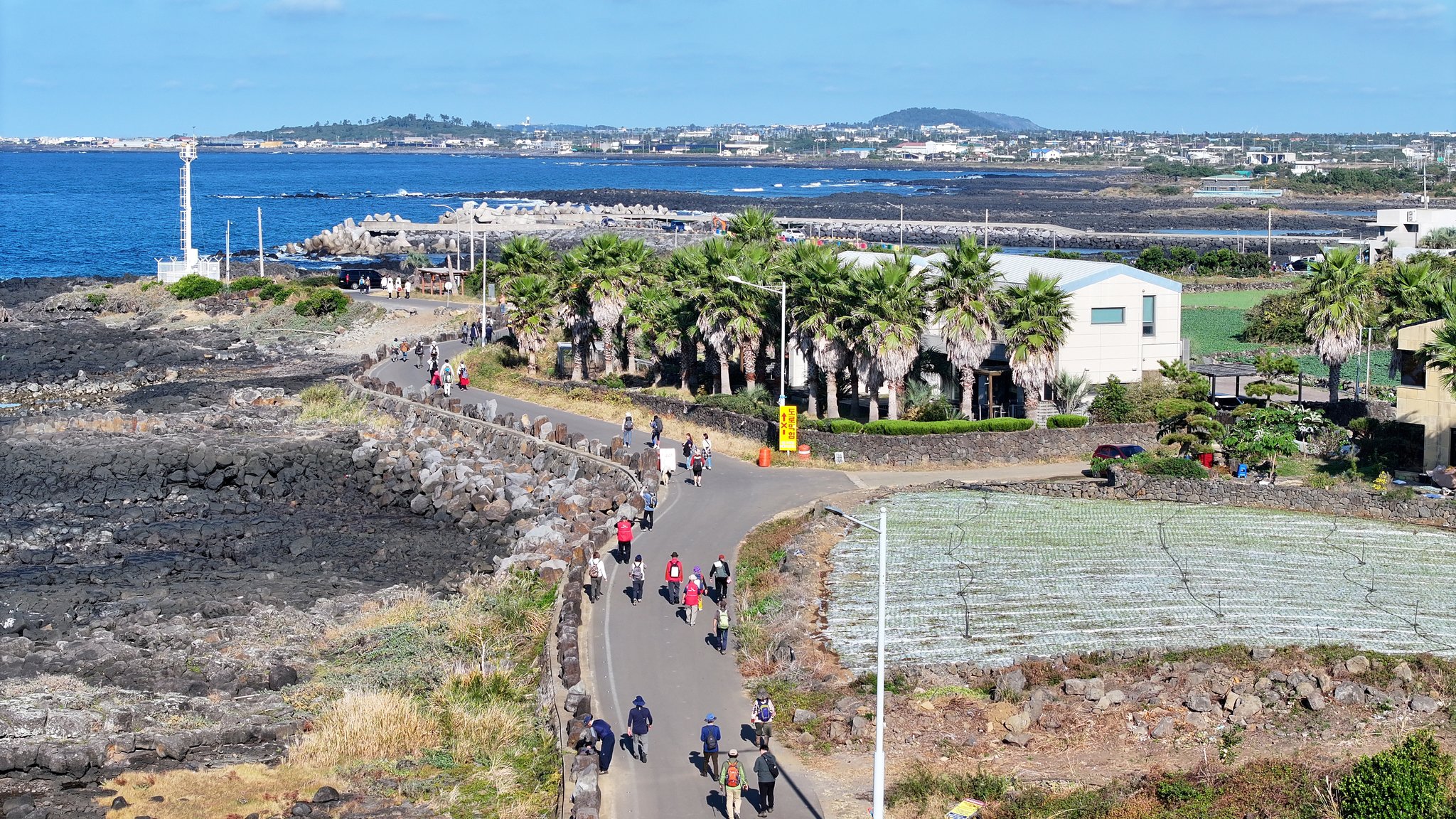 참가자들이 하모리 바닷가를 줄지어 걷고 있다. 연합뉴스