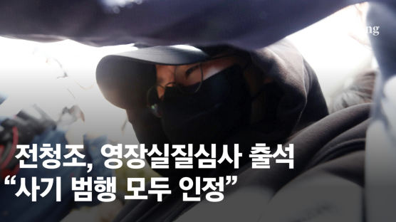 전청조 "밀항은 억측" 주장에도…法 "도망 우려" 구속영장 발부