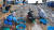  지난 1일 강원 강릉시 주문진항에서 주민들이 조업이 시작된 동해안 겨울별미인 양미리를 그물에서 떼어내는 작업으로 바쁘다.[연합뉴스]