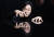 라흐마니노프의 회화적 연습곡 전곡 연주를 앞두고 있는 피아니스트 손민수. 권혁재 사진전문기자