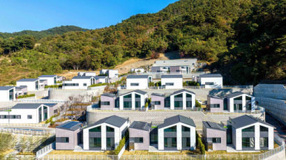 [Biz & Now] DL이앤씨, 국내 최초 ‘모듈러 단독주택’ 타운형 단지 준공