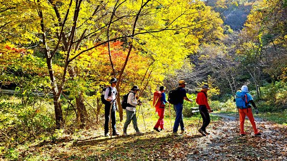 중부내륙종단트레일 길을 내는 사람들. 지난달 31일 울산 내와마을 숲길을 걷고 있다. 김영주 기자