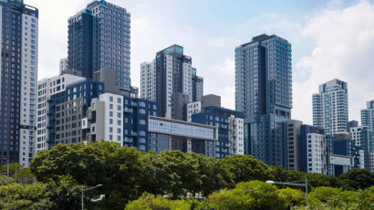 서울 절반은 넘버1 바뀌었다, 25개구별 최고가 아파트는
