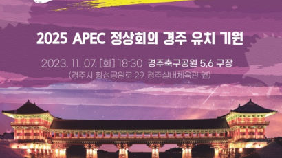 ‘APEC 정상회의 경주’ 유치 기원 슈퍼콘서트 개최