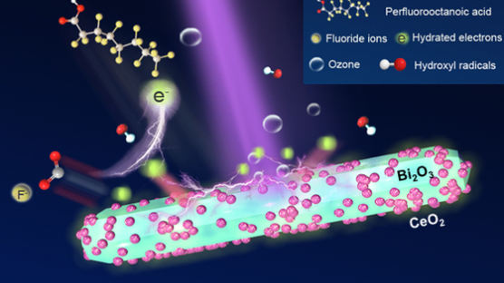 광운대학교 장민 교수 연구팀, ‘영원한 화학물질’ PFAS 제거를 위한 플라즈마 촉매 시스템 개발