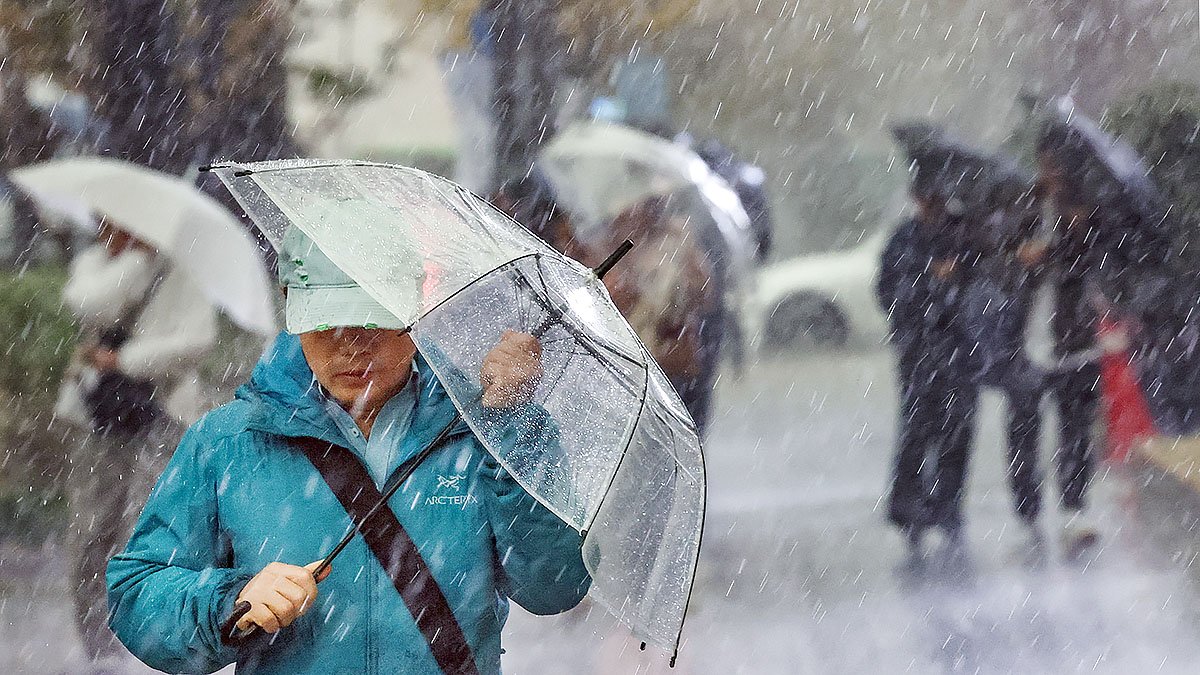 9일 오후 서울 중구 세종대로에서 우산을 쓴 시민들이 발걸음을 재촉하고 있다. 뉴시스