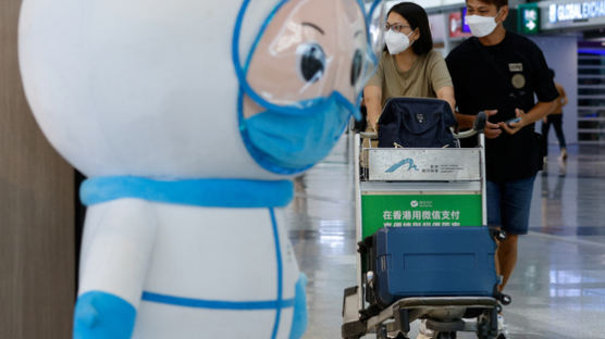 한국 빈대에 술렁이는 홍콩…당국 "공항에서부터 검사할 것"