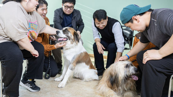 귀신 쫓던 개, 사람도 바꿨다…삽살개 복동이 놀라운 마력