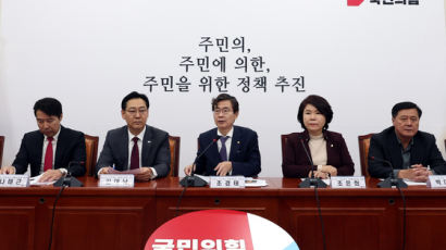 [속보] 與특위 “서울-김포 통합 특별법 오늘 오후 발의”