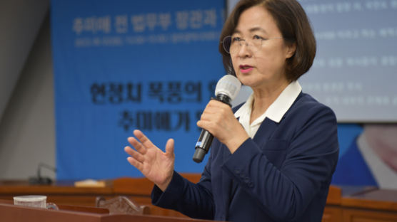 추미애 "尹대통령 지지율 30%대 받쳐주는 철벽통들이 있다"