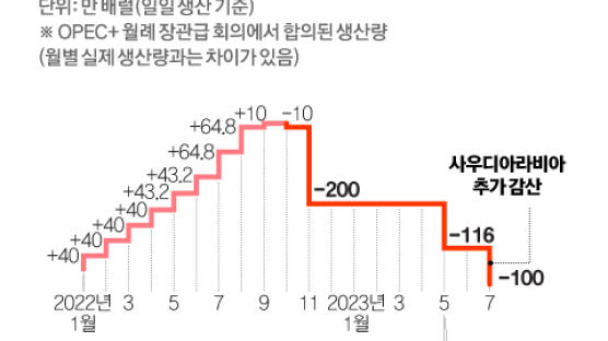 OPEC+ 균열 생겼나…‘추가 감산’ 회의 연기에 유가 급락