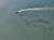 25일 전남 여수시 율촌하이스코 부두 앞 해상에 유출된 검은색 기름. 사진 여수해경