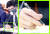  지난해 8월 국회 법제사법위 전체 회의에 참석한 한동훈 법무부 장관. 그의 손에 들린 녹색 연필이 눈에 띈다. 연합뉴스