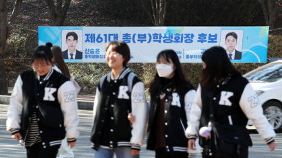 "정치권 싸움이냐"…총학선거 무산된 이 대학, 법원에 간 사연